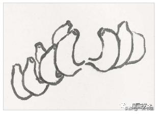 芭蕉叶画法教程,国画芭蕉画法视频