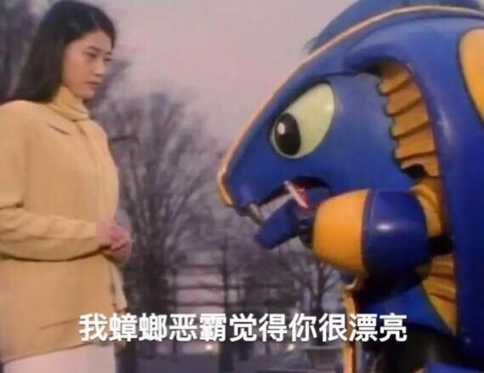 铁甲小宝可爱的样子,铁甲小宝三个铁憨憨表情包