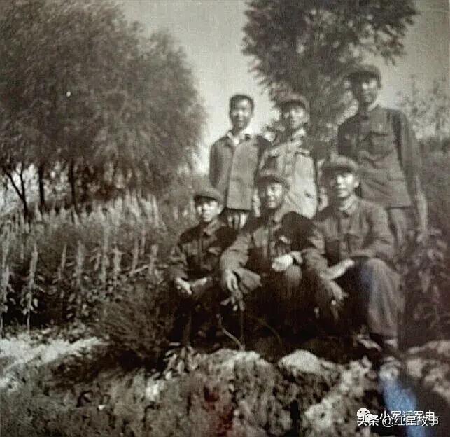 112师炮兵团火箭炮营,陆军38军112师炮兵团