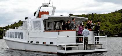 新西兰美食100种,哪里有新西兰水果