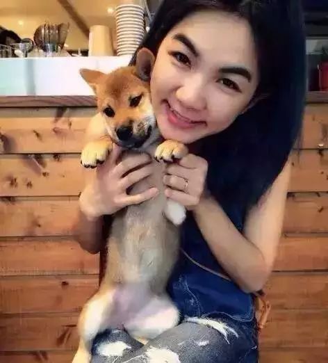 怀孕养狗会导致胎停吗,怀孕养狗会导致流产吗