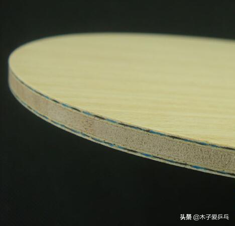 蝴蝶viscaria底板是内置吗,蝴蝶波尔alc直板底板尺寸