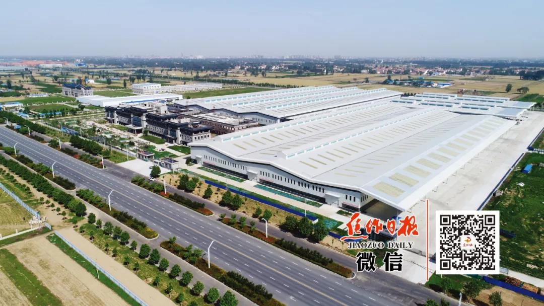 激动不？？？“金星奖”！！！温县一把抓住“牛鼻子”……