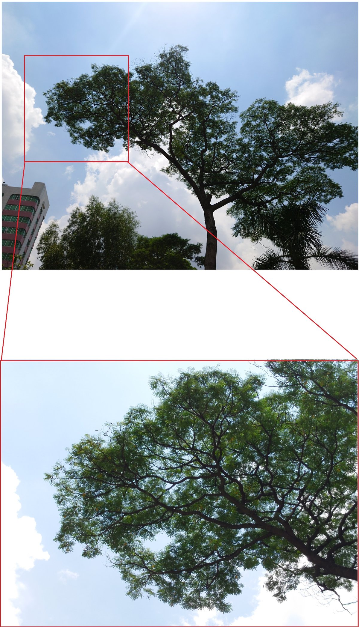 索尼微单手机xperia5iii,索尼微单手机xperia1iii拍照