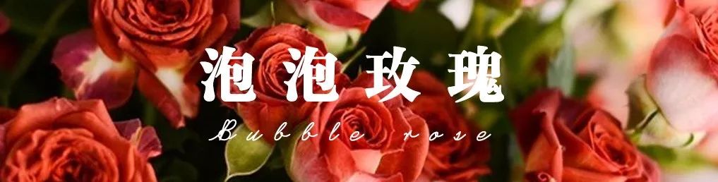 花店必备的5款玫瑰,鲜花图鉴一次性认识30种玫瑰花