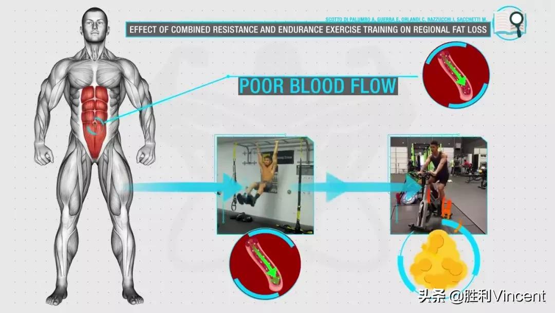 胖子练腹肌可以减肚子上的脂肪吗,最后两块腹肌上面有脂肪该怎么练
