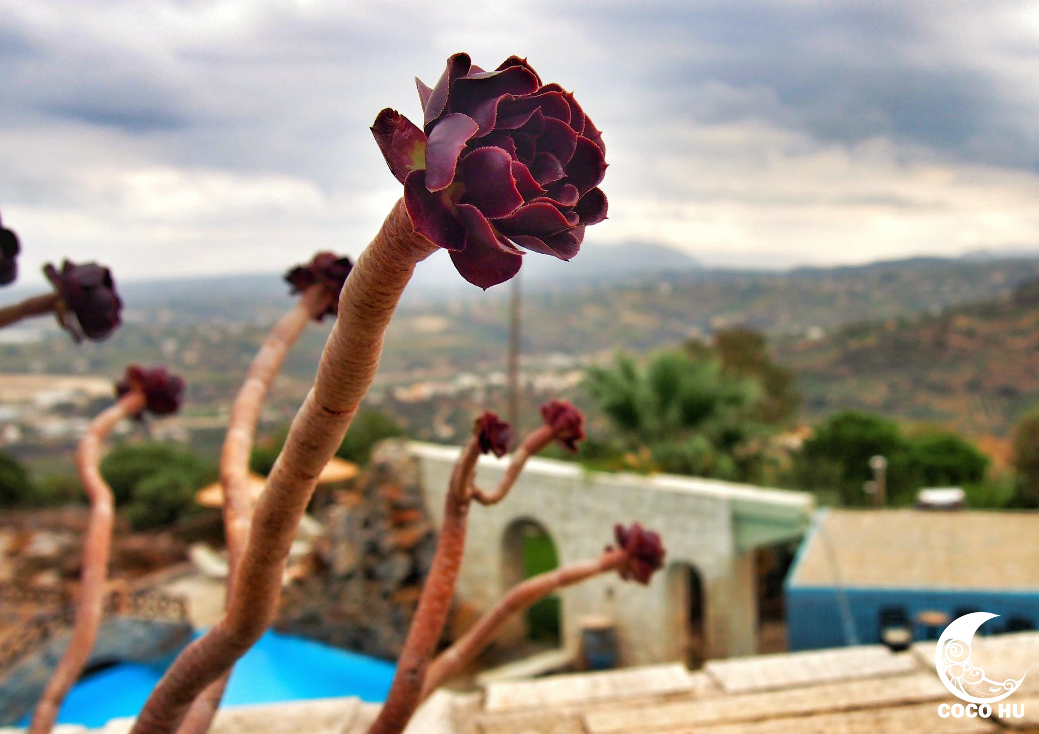 克里特文明与古埃及文明的联系,希腊克里特岛文明