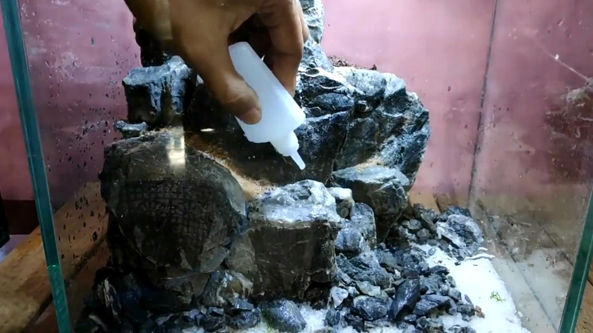 水陆缸石头拼接造景教程,真石头假山拼接造景