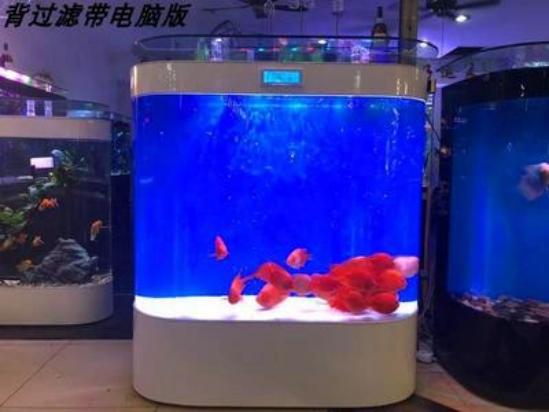 鱼缸换水后出现很多小白虫，怎么去除？