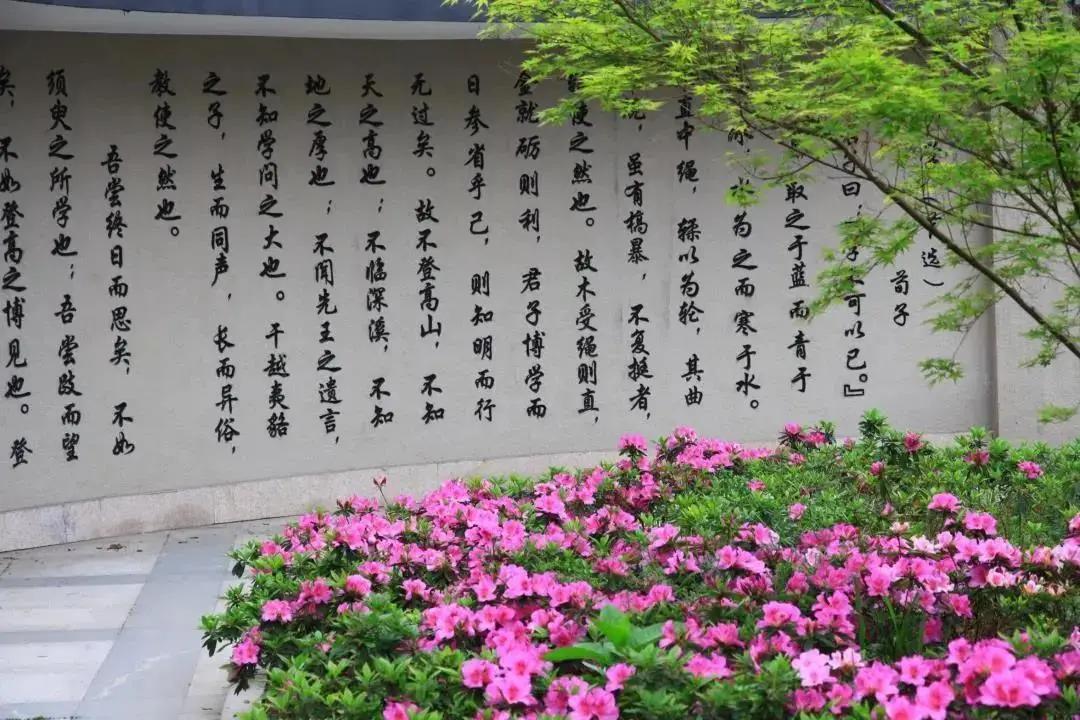 绍兴元培中学分校怎么样,绍兴市元培中学2024届