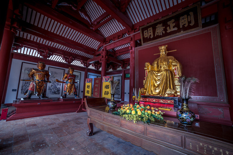 星湖冬日燃情，比落羽杉还要红的是什么？#我和湿地有个约会#