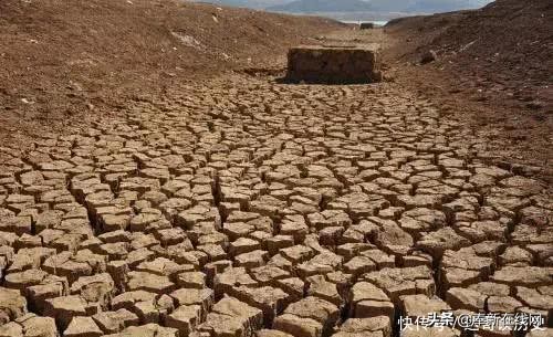 清朝年间，一个奉新人常帮人打官司，曾把一名状元告翻