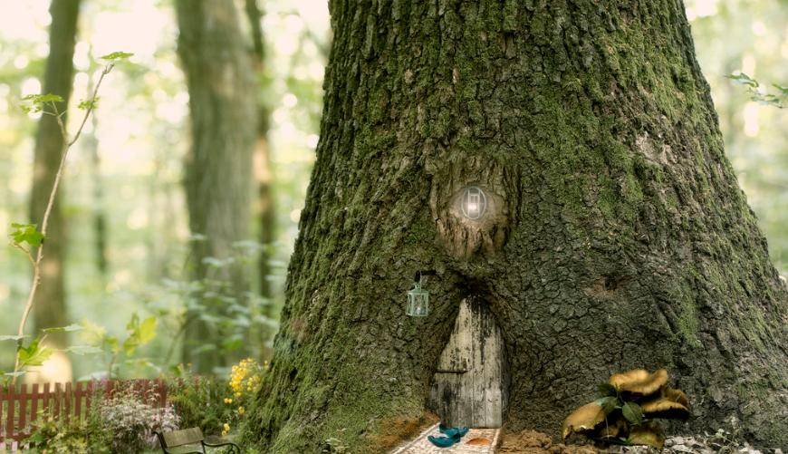 考级详解|央院《猫主题》考点全解析！