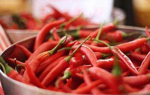 嘴唇干裂脱皮涂了润唇膏也没用,嘴唇干裂脱皮润唇膏女生推荐