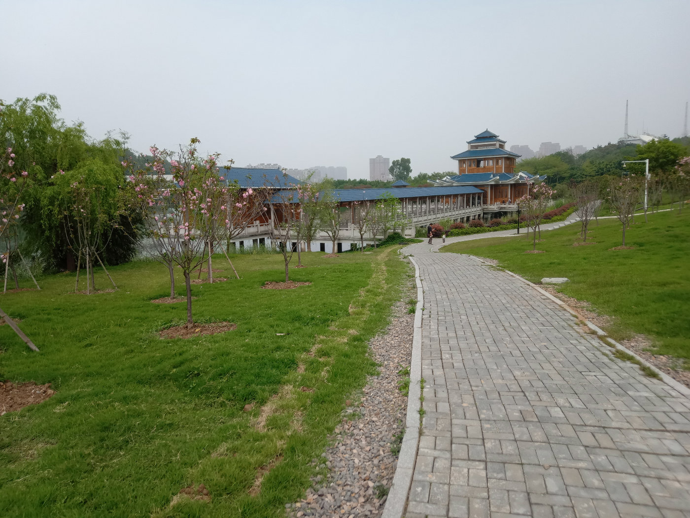 福州大学就像一座大公园，风景美到爆！最美的世界一流学科院校