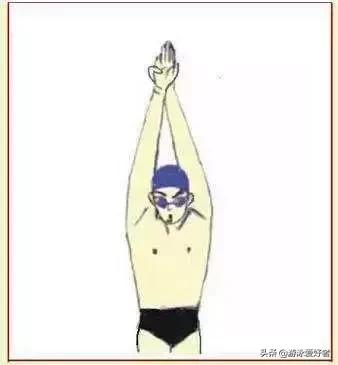 蛙泳易学还是自由泳好学,蛙泳如何游得又快又稳