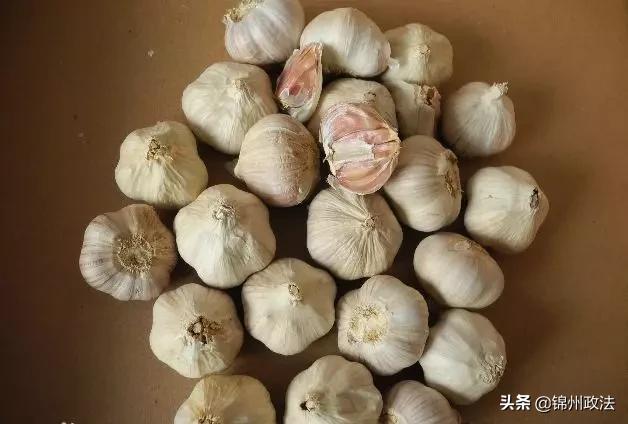 沈阳有什么特色农产品,辽宁省14个市县特产农产品