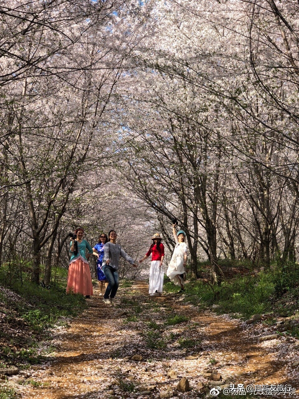 8月最佳旅行地推荐自驾游,4-5月份最佳的自驾短途旅行