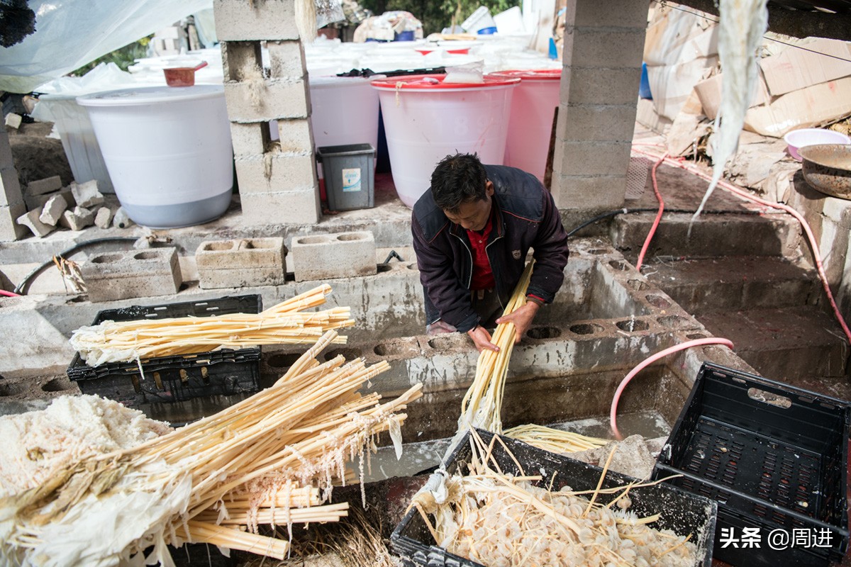 56岁搬运工,农村小伙土特产搬运工