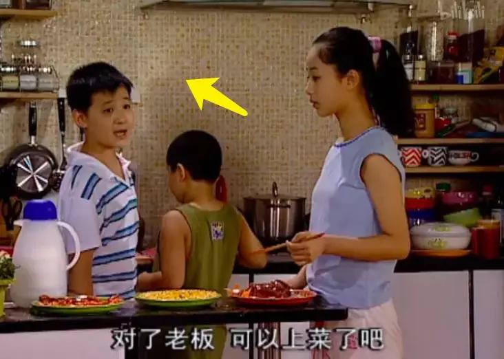 家有儿女刘星家到底是多有钱,家有儿女刘星家究竟多有钱