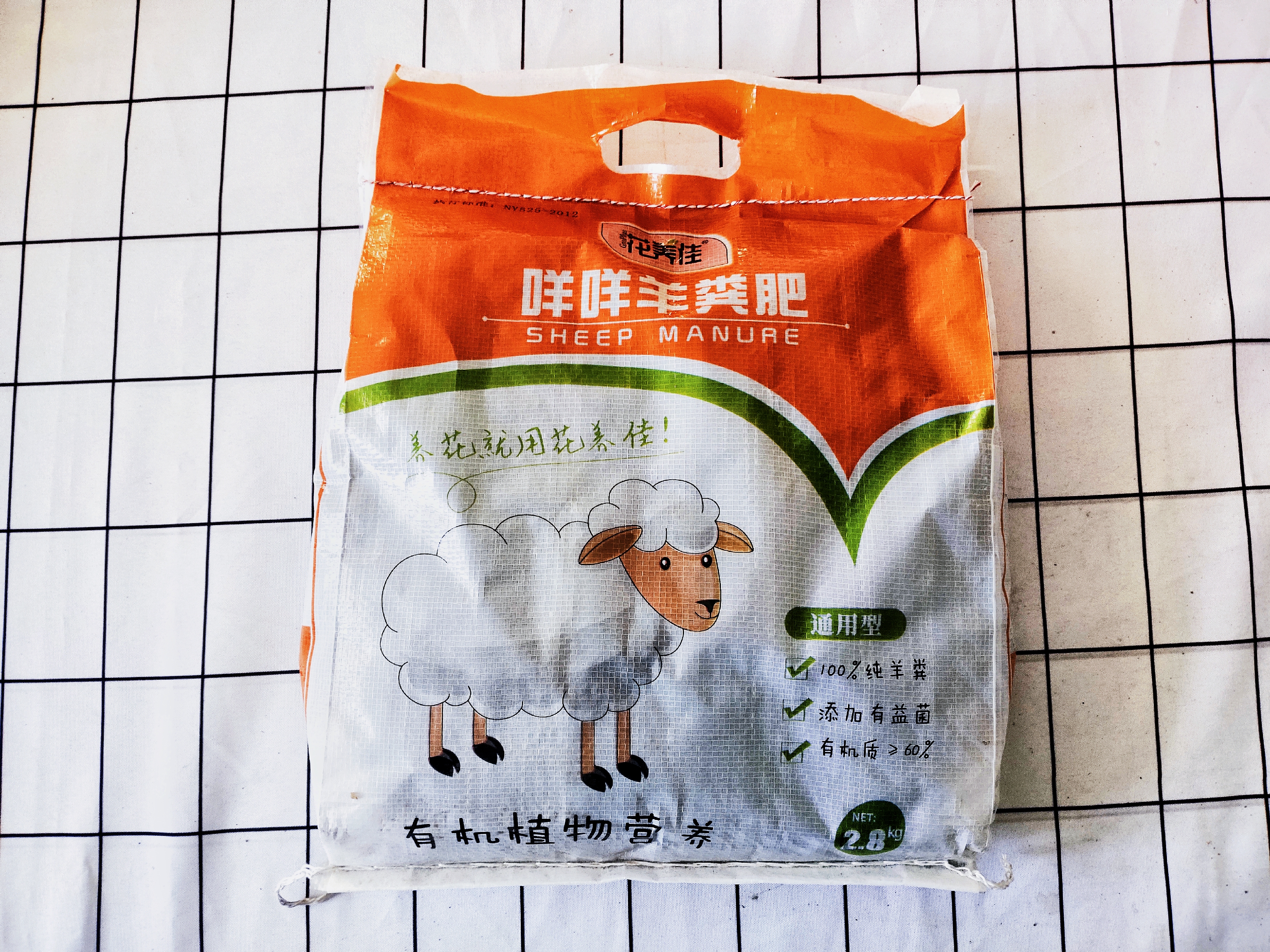 马蹄莲的种植和养护方法视频讲解,马蹄莲种球种植方法和时间表视频