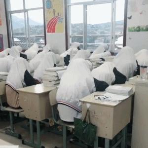 混蛋有什么意思,魂淡是什么梗