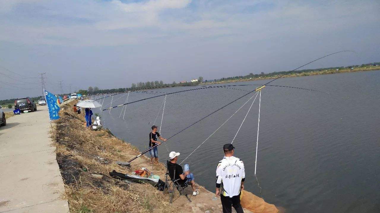 国产台钓鱼竿品牌前十名排行榜,国产鱼竿哪个品牌性价比最高