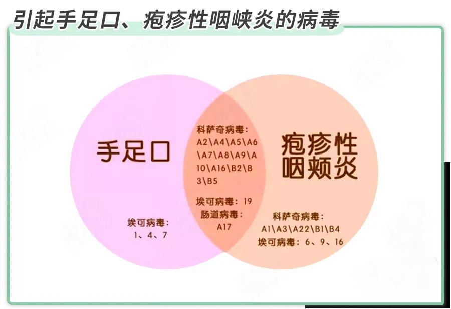 小孩子指甲从根部脱落是怎么回事,孩子手足口病后指甲脱落怎么回事