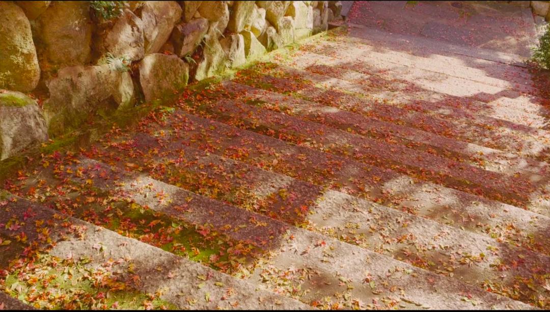 全网公认0差评的四部电影,被豆瓣低估的六部电影