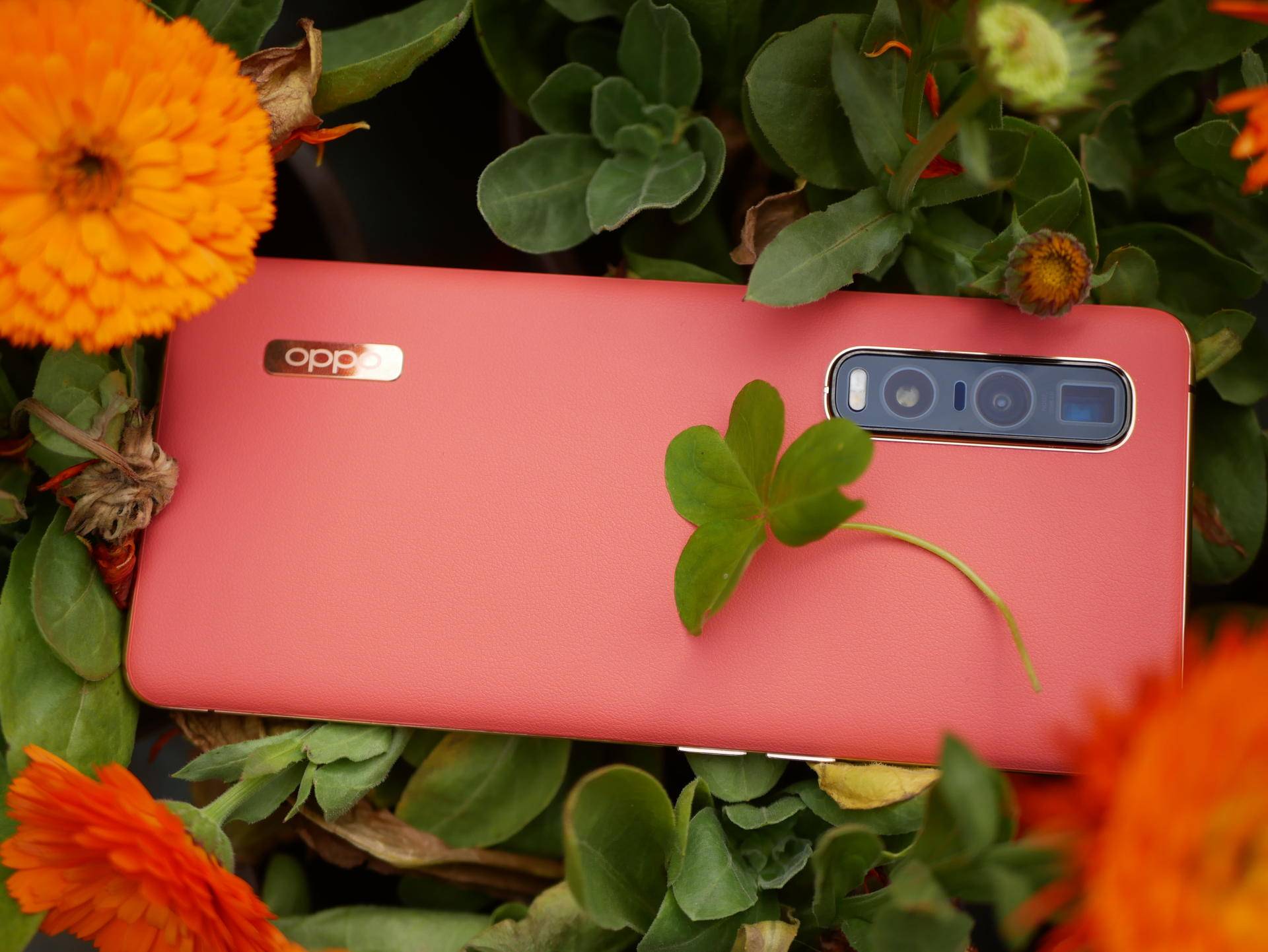 消费者视角评测,findx2pro发布多少钱