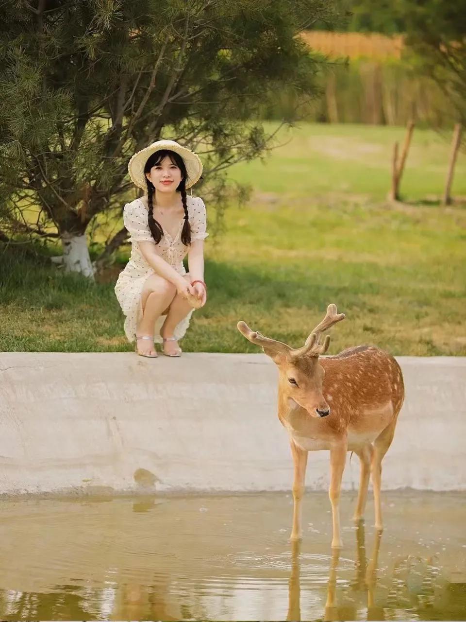 东南花都花博园景观,东南花都花博园