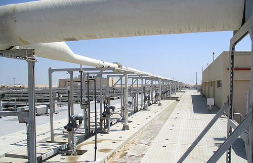 你不知道的冷知识迪拜,迪拜十大冷知识