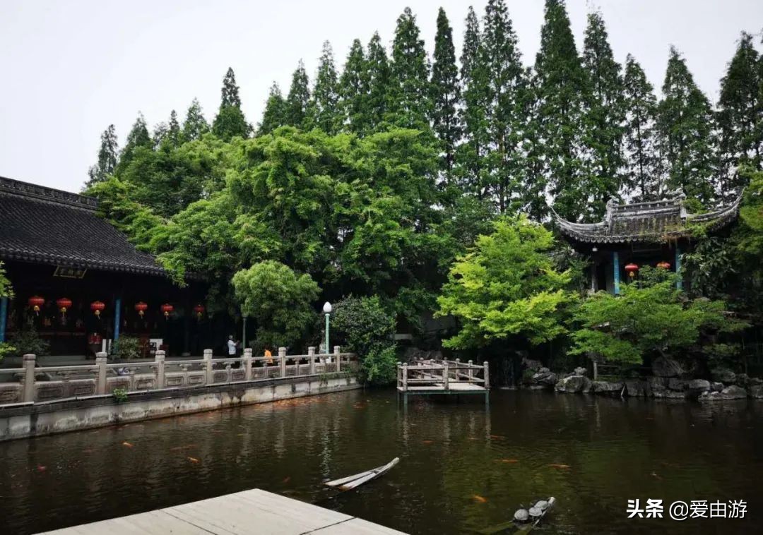 疫情后旅行新玩法,“州”游之衢州四天三夜