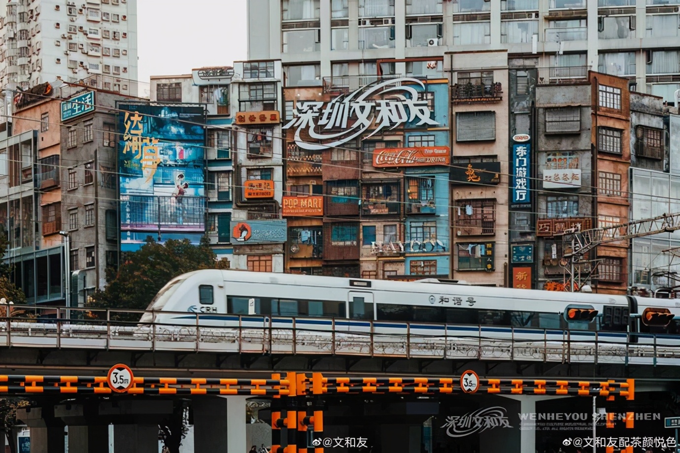 深圳茶颜悦色门店多少钱一杯,深圳茶颜悦色3万人排队