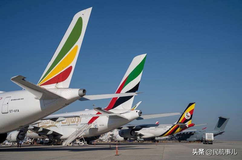 indigo空军一号,indigo航班