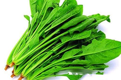 肝病吃什么食物好既排毒又护肝,肝病患者吃什么滋补品最好