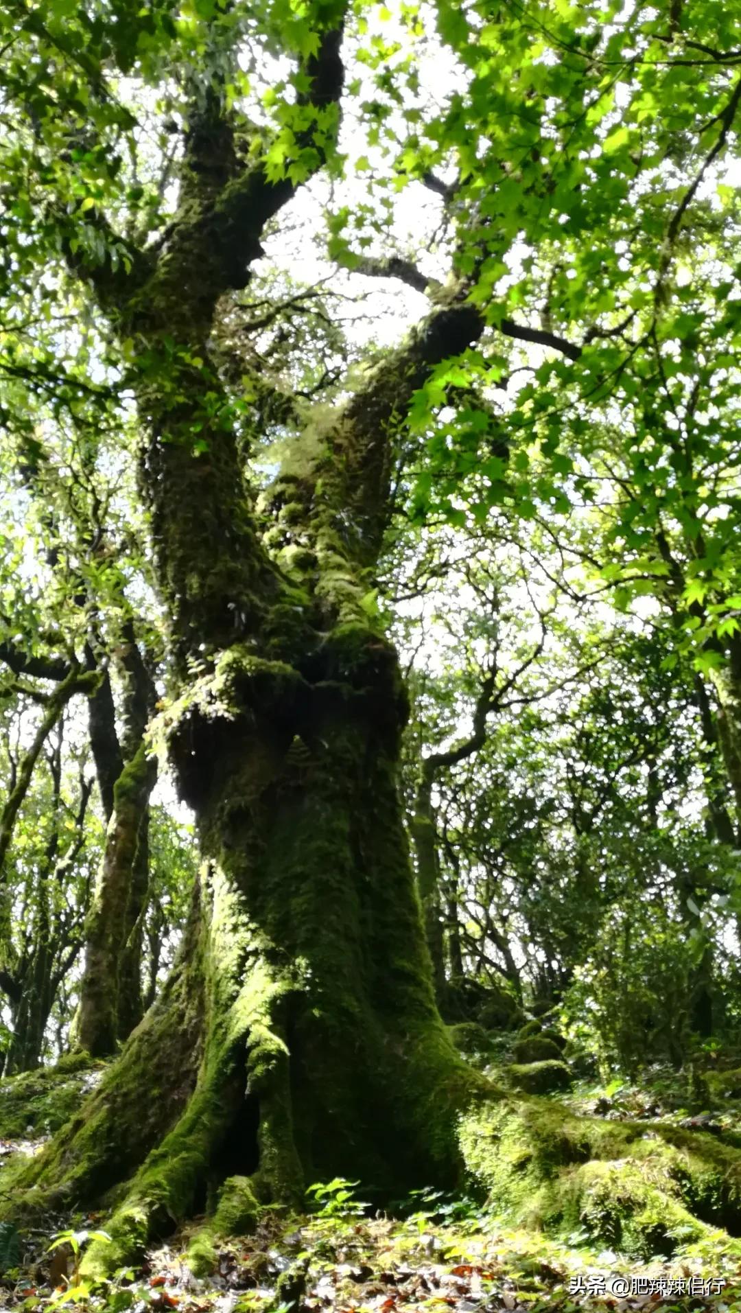 云南玉溪有多少极致风光,云南玉溪四季天气是否温暖