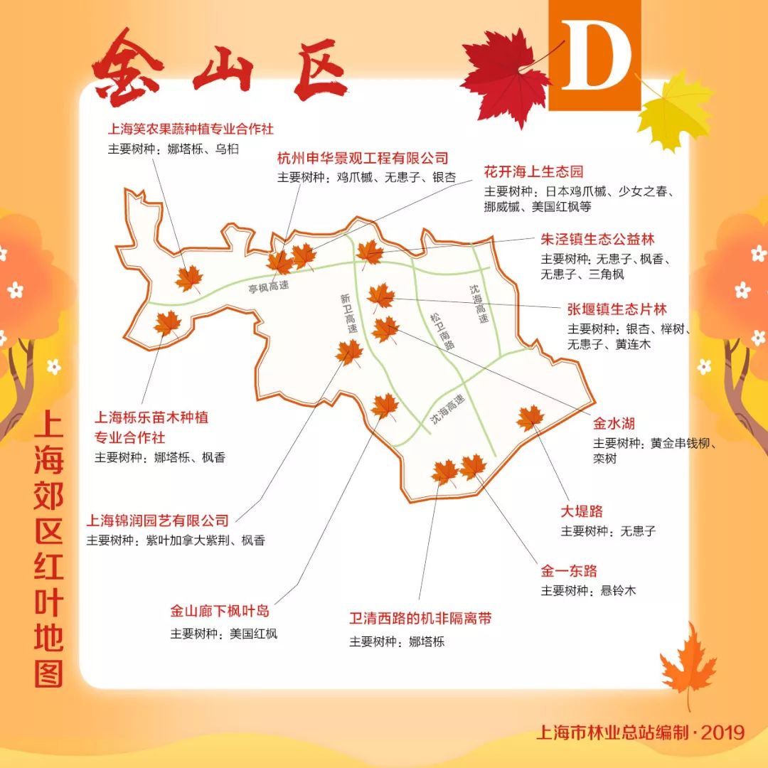赏枫地图,赏红叶正当时