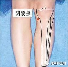 常拍3个黄金穴位，排毒抗衰老