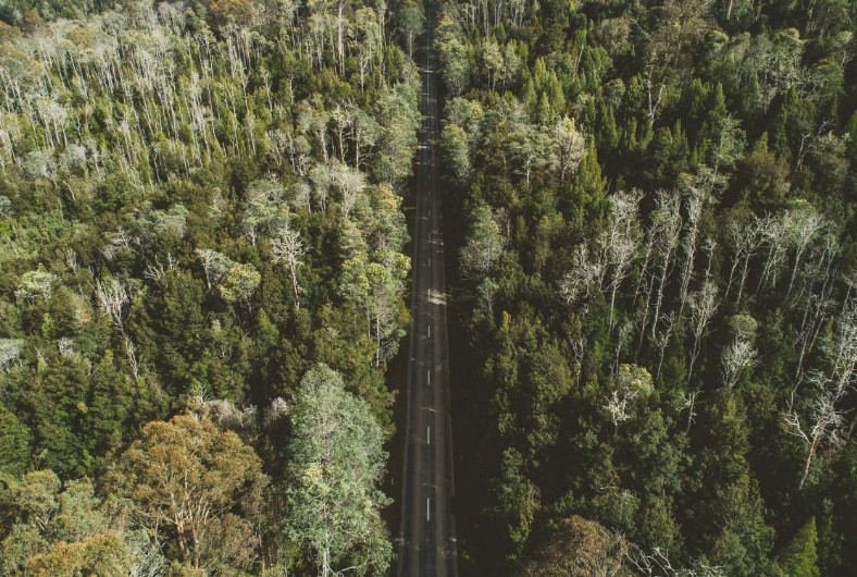 “COMEDOWNFORAIR”，来塔斯马尼亚尽享呼吸