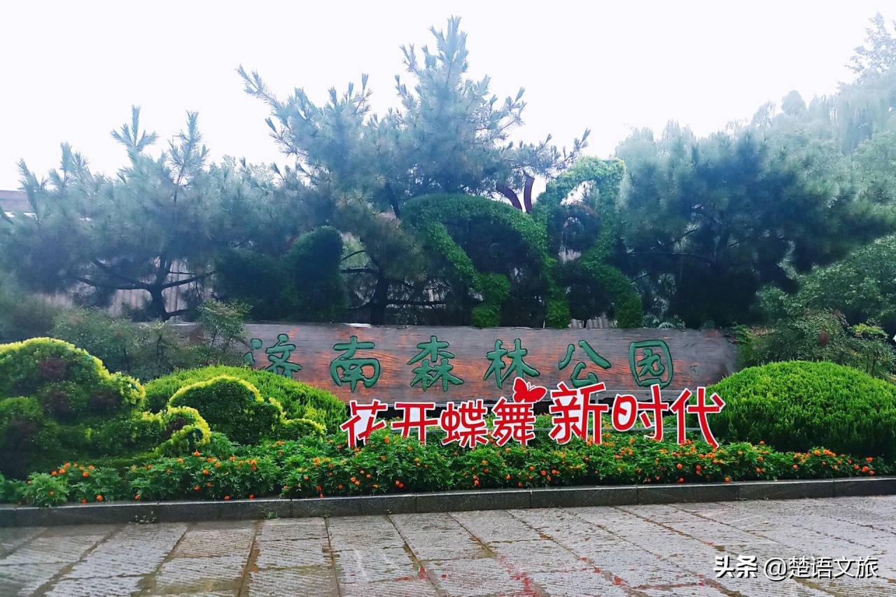 济南泉口湿地森林公园,济南南部山区森林公园推荐