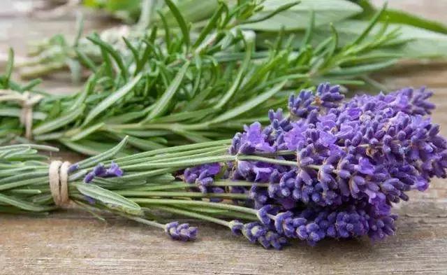 有了前法国第一夫人的百元“黑科技”眼霜,我把3000块眼霜扔了!