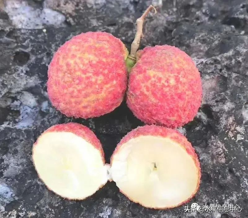 海南水果都有哪些品种图片及名称,海南水果上市时间表赶快收藏吧