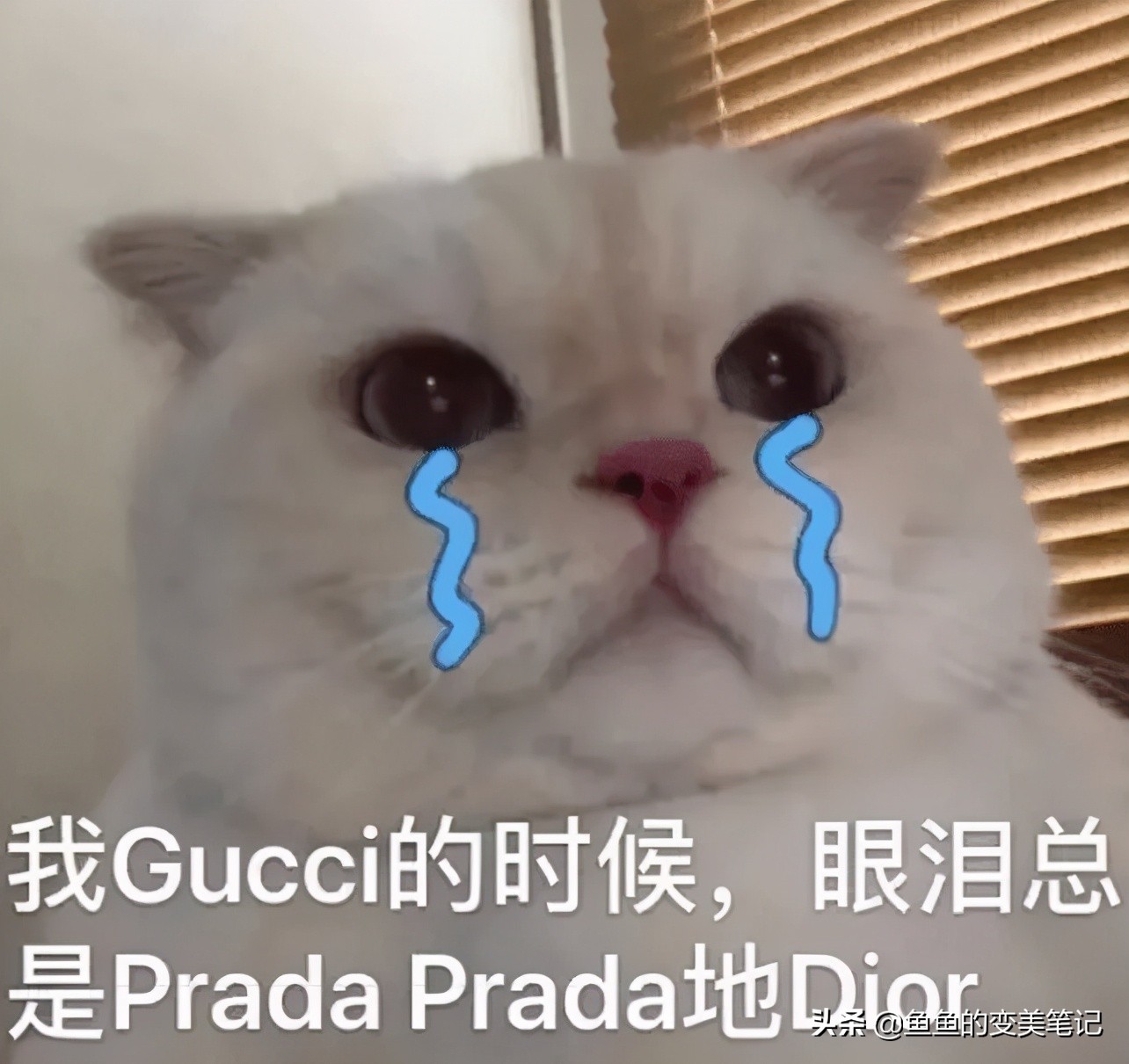 国货护肤品老牌正品去黑头,网红大牌护肤品黑榜