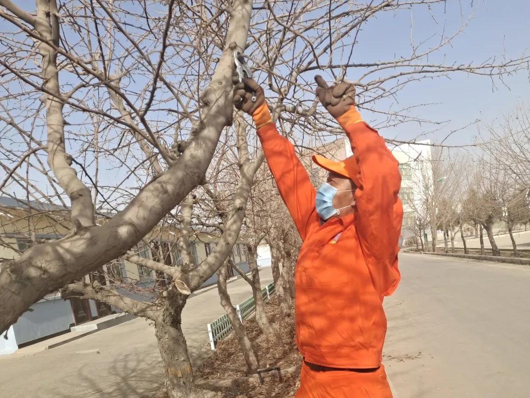 美化办公室环境,优化办公环境提升职工幸福感