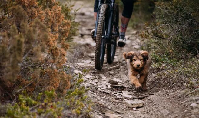入门级的山地车哪款好,十款性价比高的入门级山地车