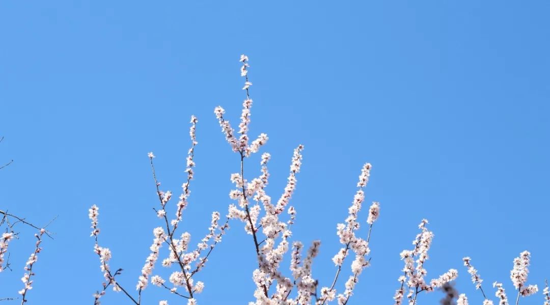 一到节气就生病,一到季节交替就犯胃病
