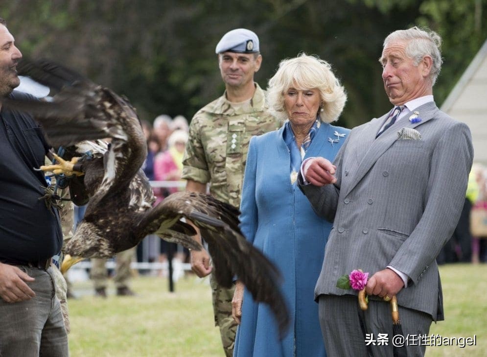 英国王室小王子搞怪,英国王室抢眼绿色高颜值王室成员
