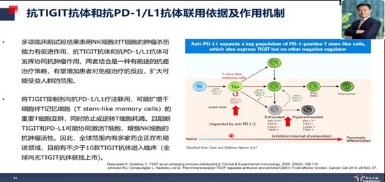 肿瘤免疫治疗半年后肿瘤增大,肿瘤怎样使用免疫调节剂