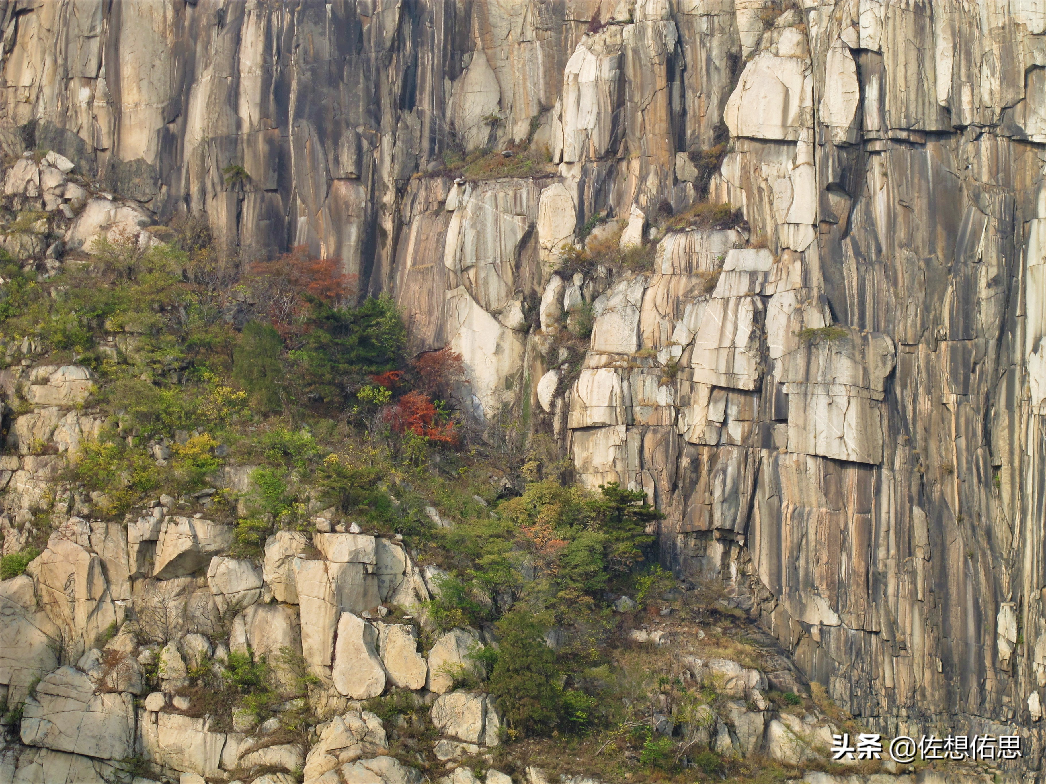 泰安扇子崖免门票吗,扇子崖门票多少钱